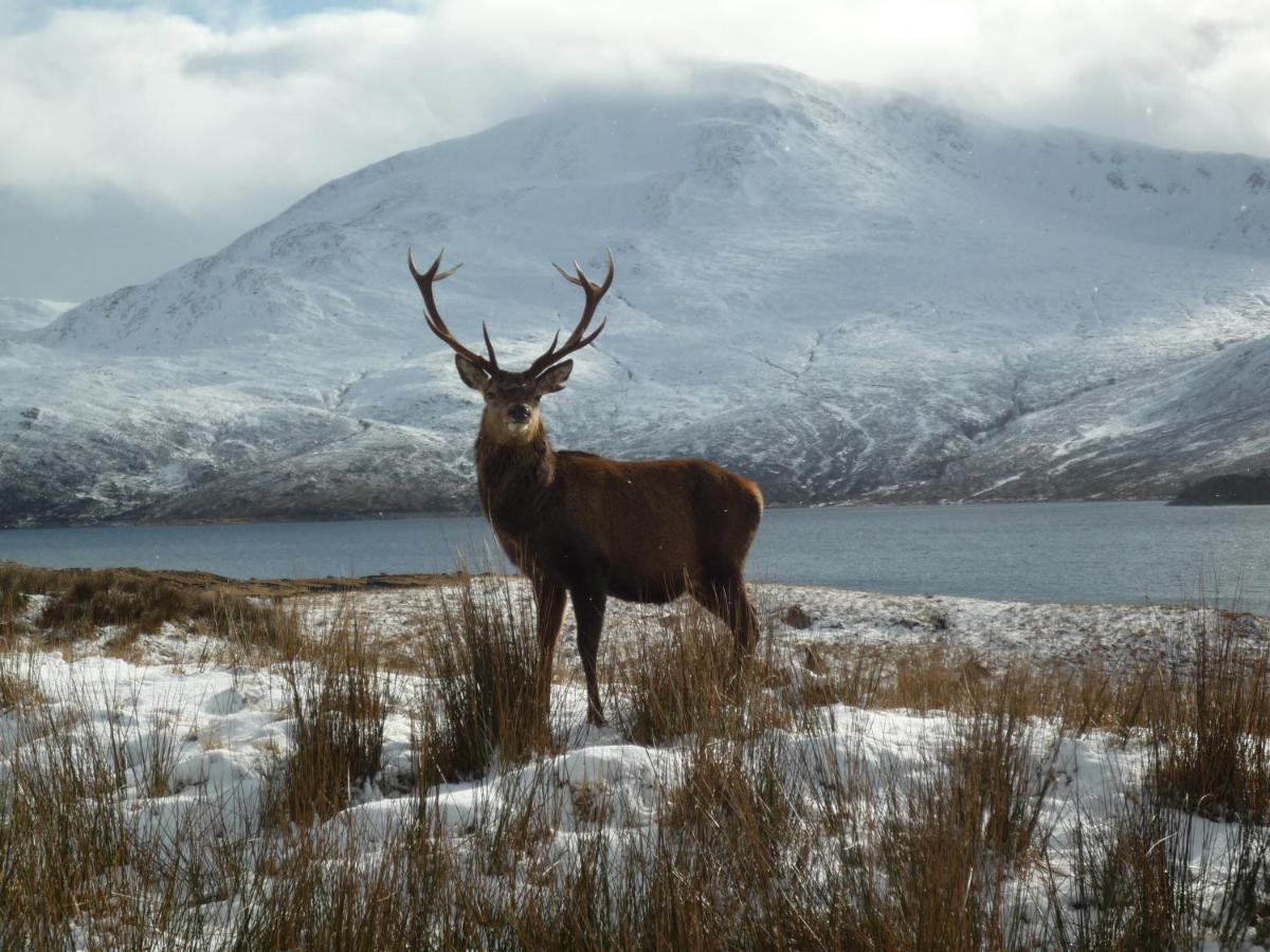 Caledonian Holiday home Invergarry